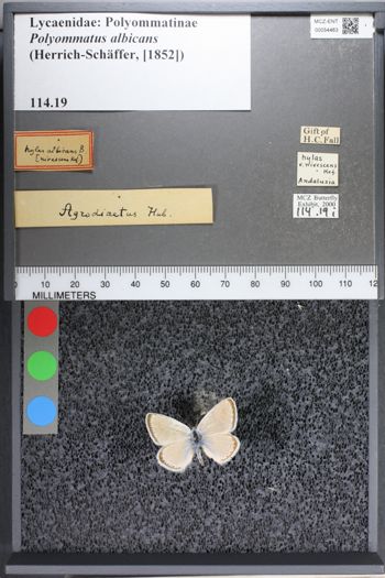 Media type: image;   Entomology 54463
